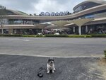 中途穿大洞村去到西沙 Go Park
20250301_134159