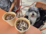 Go Park 嘆杯咖啡先
20250301_135151