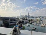 世貿中心空中花園
20250310_000024