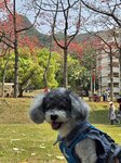 20250316_130528