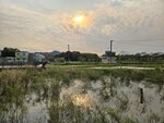 塱原生態園的黃昏
20250316_171801