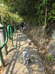 往萬角咀的小徑
20250318_000052