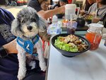越式午餐
20250318_000057