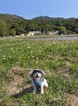 深涌大草地
20250323_151740
