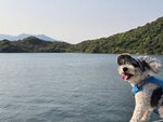 深涌碼頭望八仙嶺
20250323_161057
