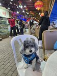 洪記海鮮晚飯
20250325_000007