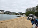 馬灣東灣, 青馬橋和挪亞方舟
20250329_000005