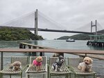 汲水門大橋
20250329_000040