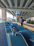 東岸板道
20250330_152420