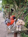 IMG-20250331-WA0001