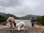 IMG-20250331-WA0004