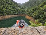 IMG-20250331-WA0008