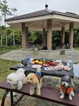 IMG-20250331-WA0013