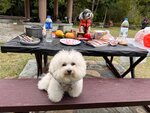 IMG-20250331-WA0023