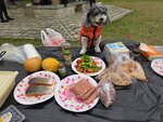 IMG-20250331-WA0027