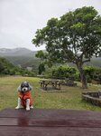 IMG-20250331-WA0036