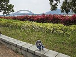 海濱長廊遙望跨灣大橋
20250406_000023