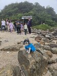 沙洲連接橋咀與橋頭
20250418_000030