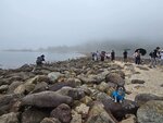連島沙洲
20250418_000032