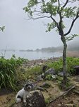 回沙洲前望橋咀島泳灘
20250418_000042