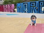 東岸公園
20250427_000014