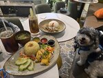 圍方食晏
20250501_131027