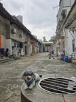 曾大屋內天井
20250501_151248