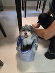 準備出發去梅窩渡假屋
20250514_000021