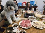 玩完水回渡假屋火鍋晚餐
20250514_000038