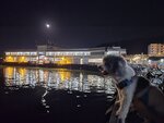 梅窩碼頭夜景, 是日農曆四月十七月仍好圓
20250514_000044