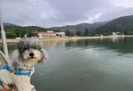 第二天早上往海邊候日出
20250514_000048