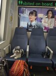 回程的寵物船竟然是快船
20250514_000061