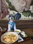 西灣河食素
20250614_000001