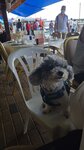 IMG-20250622-WA0002