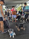 9號碼頭等船
IMG-20250622-WA0003