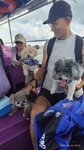 IMG-20250622-WA0012
