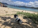 好曬, 避避先
IMG-20250622-WA0024