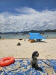 IMG-20250622-WA0025