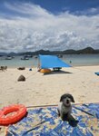 IMG-20250622-WA0026