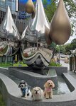 20250630_000063