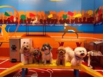 IMG-20250812-WA0115