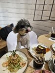 海天晋匯食晏
20250818_124853
