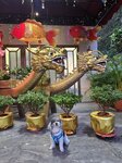 長洲華威酒店入口處
20250828_000004