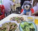 是日晚飯,2人餐送飯湯和油菜

20250828_000021