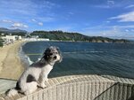 房間露台望東灣
20250828_000026