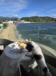 妹釘唔准偷食
20250828_000033