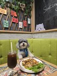 牛肉炒河
20251019_130145