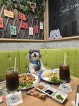 還有海南雞飯
20251019_130500
