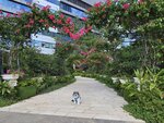 秘密花園, 在酒店外面花園內
20251019_140600