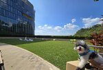 數碼港寵物樂園
20251019_142120